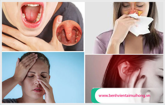 Các bệnh lý về tai mũi họng thường gặp mà bạn nên biết