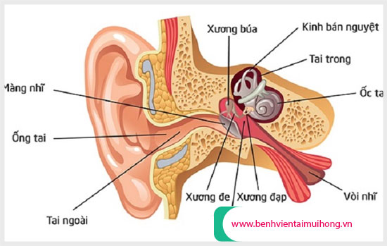 Cách điều trị viêm tắc vòi nhỉ Nguyen-nhan-cua-viem-tac-voi-nhi-va-cach-dieu-tri