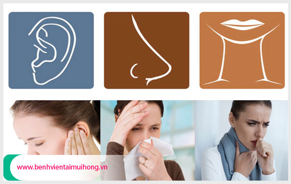 Phòng khám tai mũi họng ở Lâm Đồng