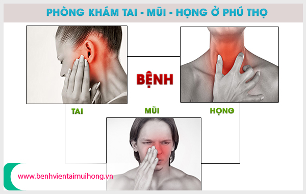 Phòng khám tai mũi họng ở Phú Thọ